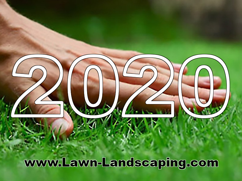 Lawn Landscaping was started in 2020